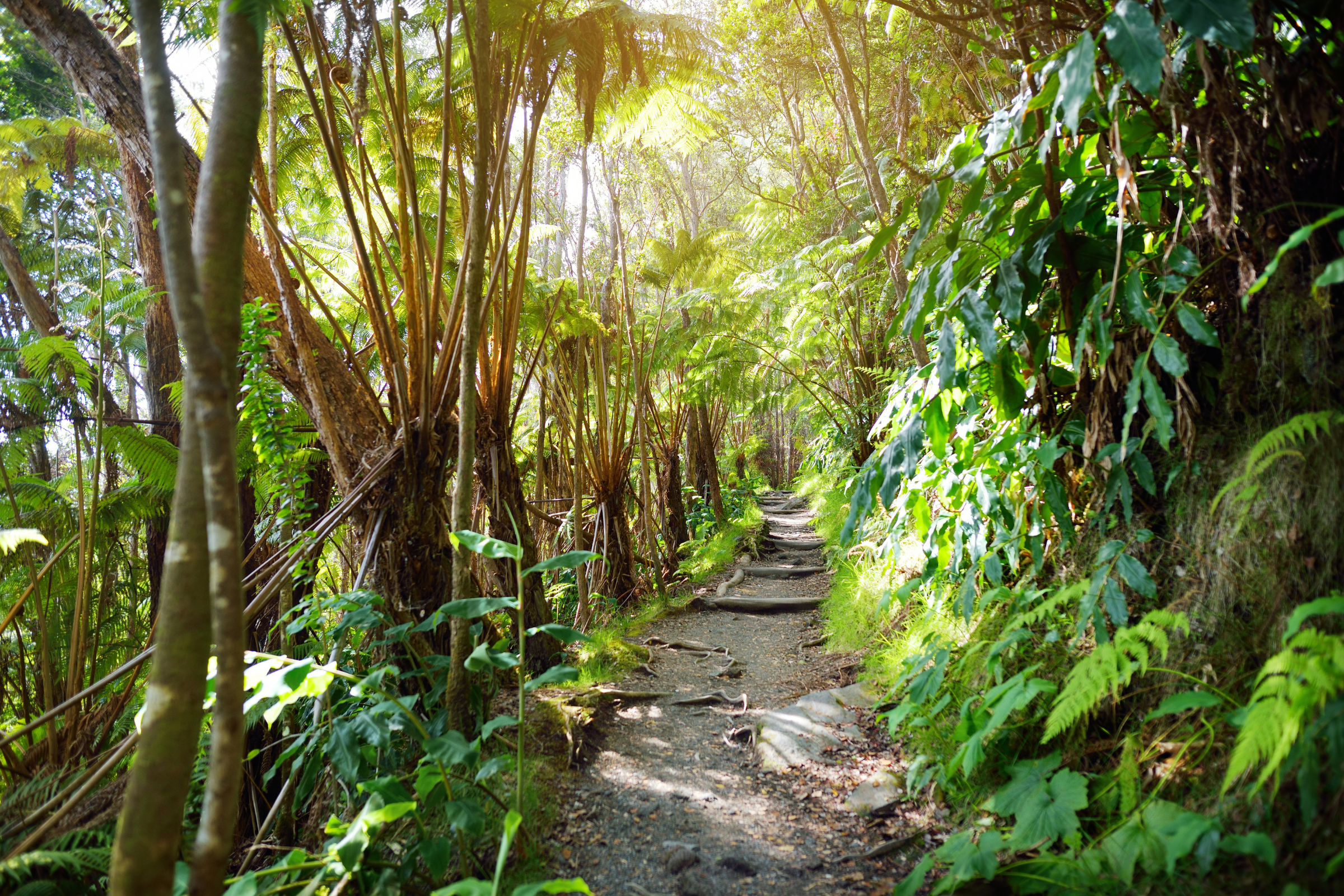 iki island (2).webp